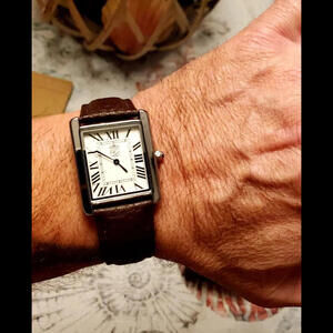 Swiss Tank Style Mens Watch Pierre Lucerne Brown Band